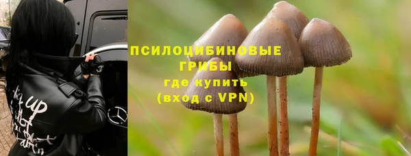 тгк Гусев