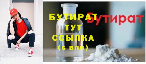 тгк Гусев