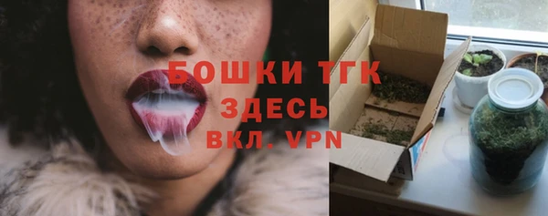 тгк Гусев