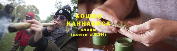 стаф Гусь-Хрустальный