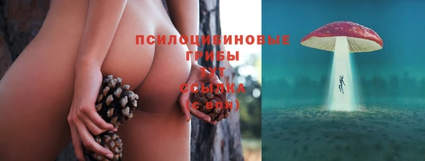 стаф Гусь-Хрустальный