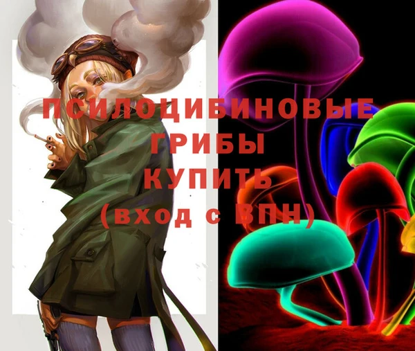 амф Гусиноозёрск