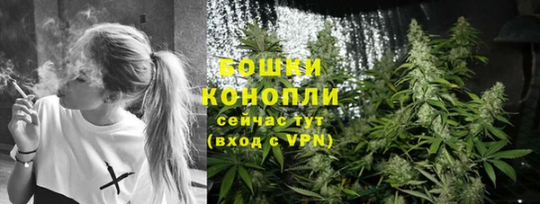 стаф Гусь-Хрустальный