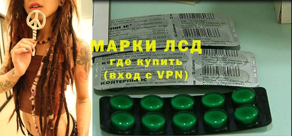 тгк Гусев