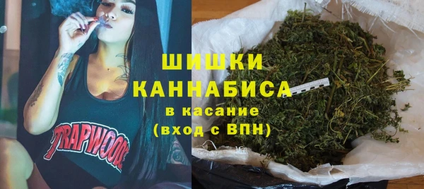 тгк Гусев