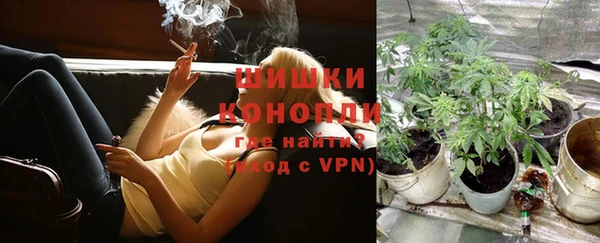 стаф Гусь-Хрустальный