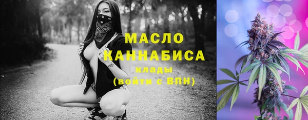 амф Гусиноозёрск