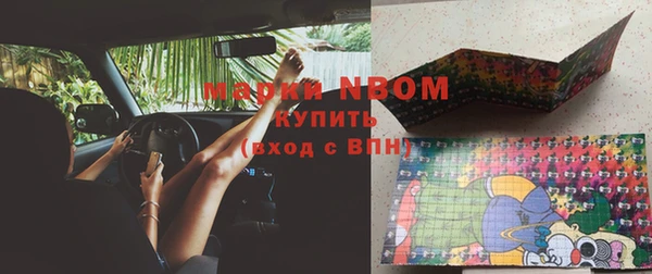 амф Гусиноозёрск