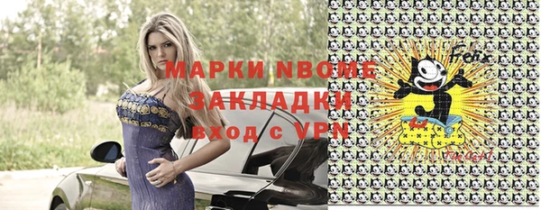 тгк Гусев