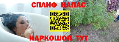 тгк Будённовск