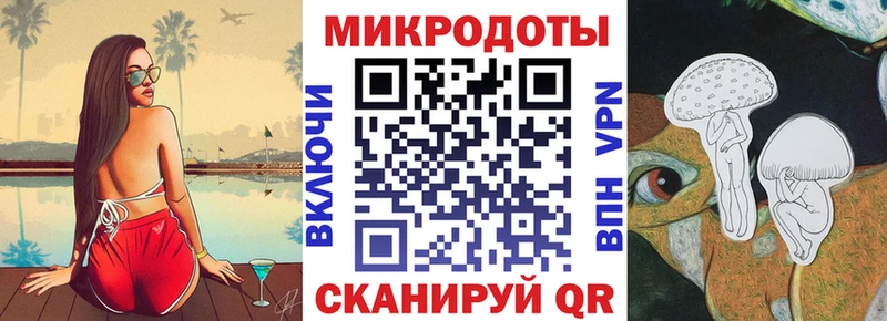 Псилоцибиновые грибы Psilocybine cubensis  Междуреченск 