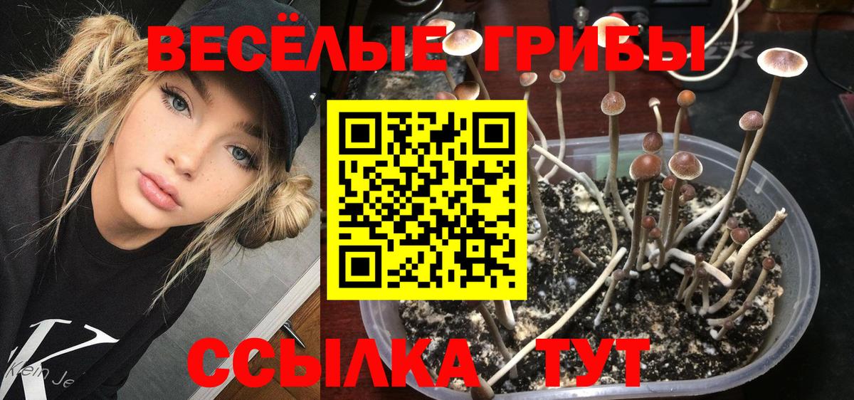 Галлюциногенные грибы Cubensis Междуреченск