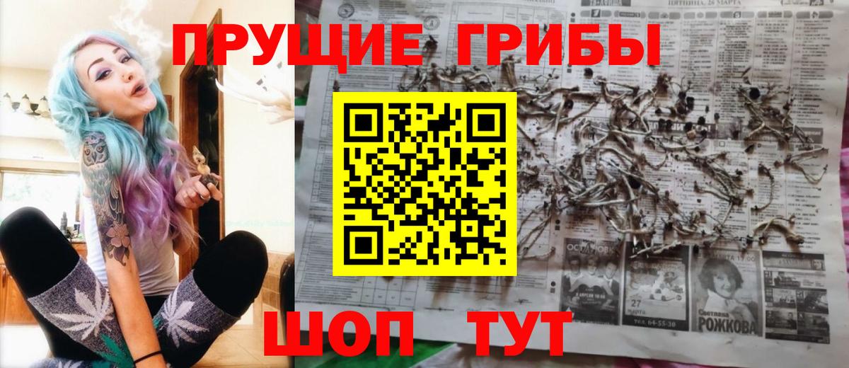 Псилоцибиновые грибы Cubensis Междуреченск